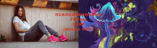 СК Алексеевка