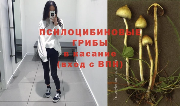 СК Алексеевка